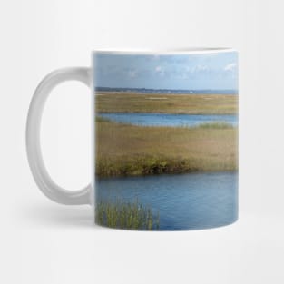 A beautiful view of the Salt Marshes, Gray's Beach Mug